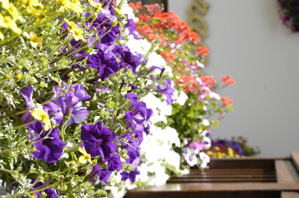 Debra Park Hotel โมเอนา ภายนอก รูปภาพ